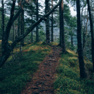 God is Wise & Good & Sovereign